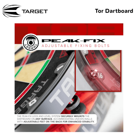 กระดานปาเป้า TARGET TOR DARTBOARD 18